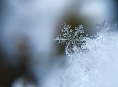 Сказочная Карелия 