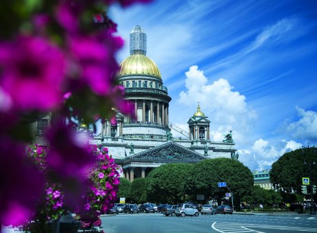 Путешествие в Санкт-Петербург 