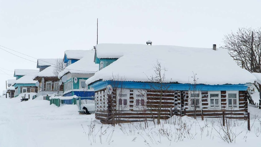 В гости к новорожденным тюленям